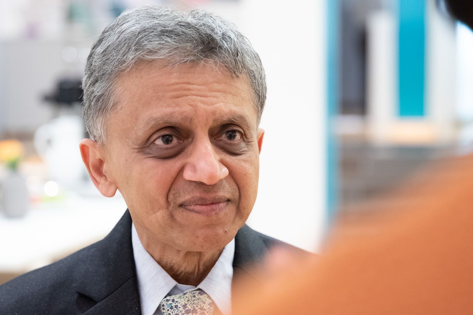 Ashoka Mody about the Euro ”A Drama in Nine Acts” SNS